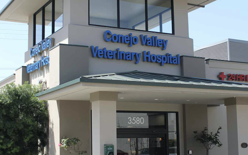 Find Pet Care Information and Veterinarians in Thousandoaks, California